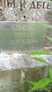 Захоронение ID 3585311