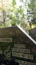 Захоронение ID 3585318