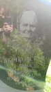Захоронение ID 3585386