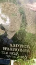 Захоронение ID 3585428