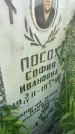 Захоронение ID 3585642