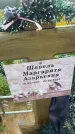 Захоронение ID 3585743