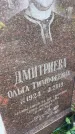 Захоронение ID 3585774
