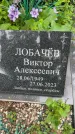 Захоронение ID 3585835