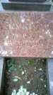 Захоронение ID 3585856