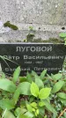 Захоронение ID 3585858