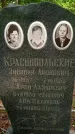 Захоронение ID 3585959