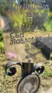 Захоронение ID 3585988