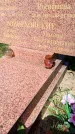 Захоронение ID 3586117