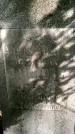 Захоронение ID 3586150