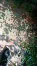 Захоронение ID 3586176
