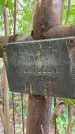Захоронение ID 3586302