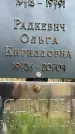 Захоронение ID 3586319