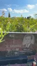 Захоронение ID 3586344