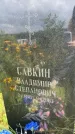 Захоронение ID 3586529