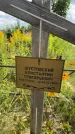 Захоронение ID 3586535