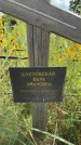 Захоронение ID 3586536