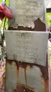 Захоронение ID 3586763