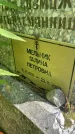Захоронение ID 3586783