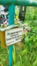 Захоронение ID 3586883