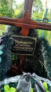 Захоронение ID 3586884