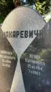 Захоронение ID 3586988