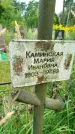 Захоронение ID 3587024