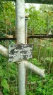 Захоронение ID 3587064