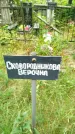 Захоронение ID 3587103
