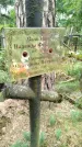 Захоронение ID 3587108