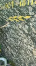 Захоронение ID 3587153