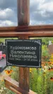 Захоронение ID 3587328