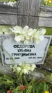 Захоронение ID 3587330