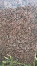 Захоронение ID 3587346
