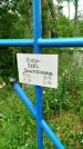 Захоронение ID 3587366