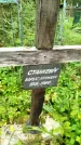 Захоронение ID 3587394
