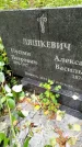 Захоронение ID 3587492