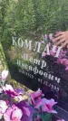 Захоронение ID 3587523