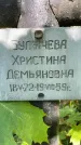 Захоронение ID 3587533
