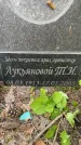 Захоронение ID 3587544