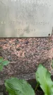 Захоронение ID 3587551
