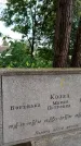 Захоронение ID 3587575