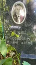 Захоронение ID 3587586