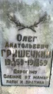Захоронение ID 3587591