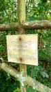Захоронение ID 3587618