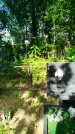 Захоронение ID 3587634