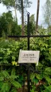 Захоронение ID 3587757