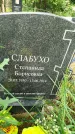 Захоронение ID 3587766