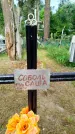 Захоронение ID 3587774