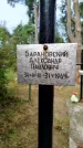 Захоронение ID 3587776